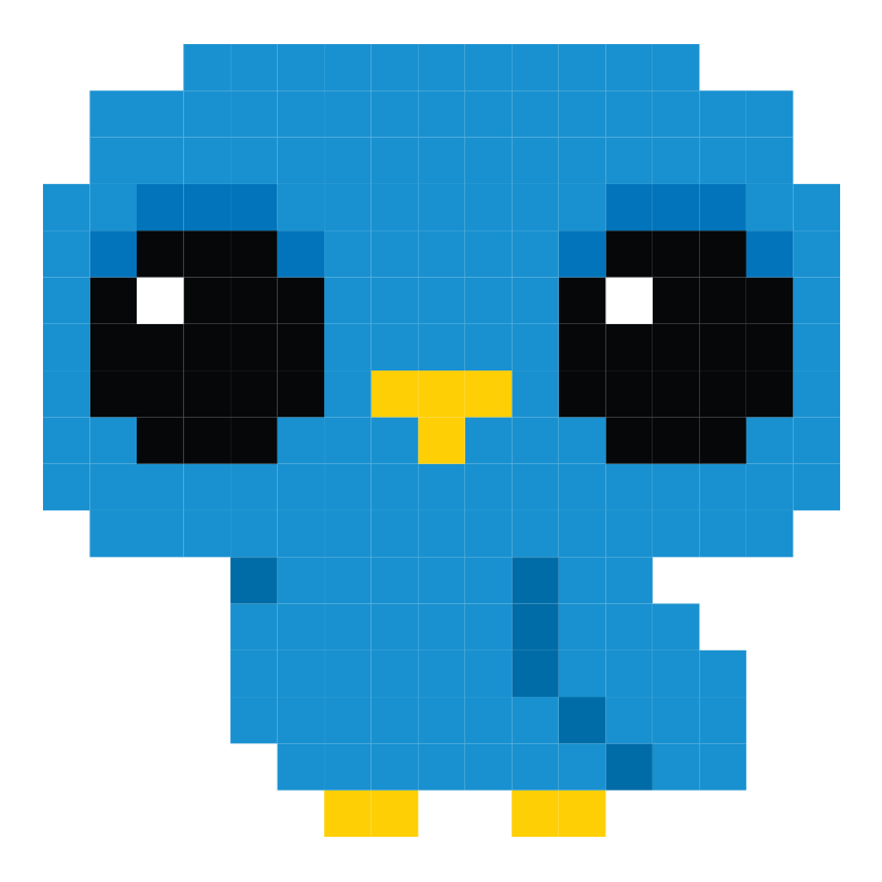 Budgie Bird